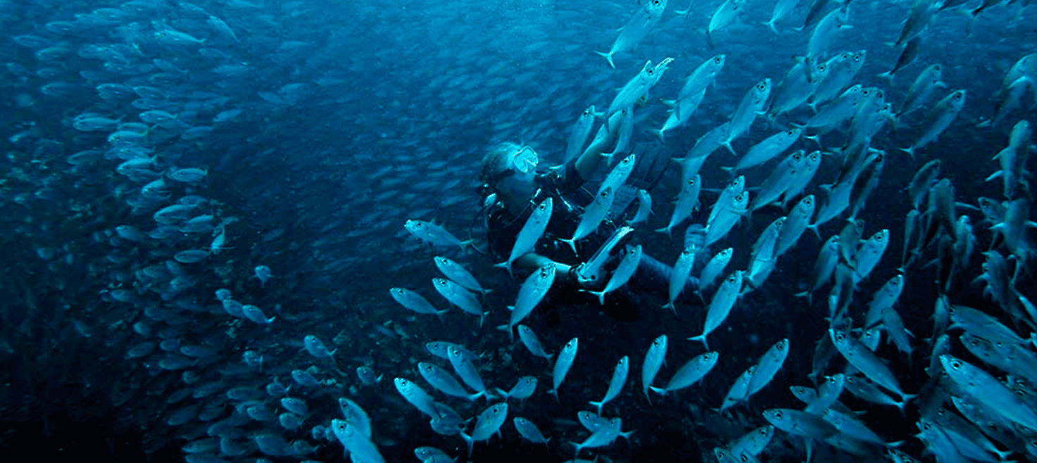 blog-anmeldelse-oceanic-housing-1.png