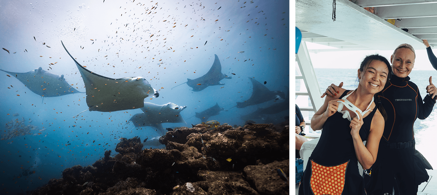 blog-sabbatår-dykning-maldiverne-mantarokker.png