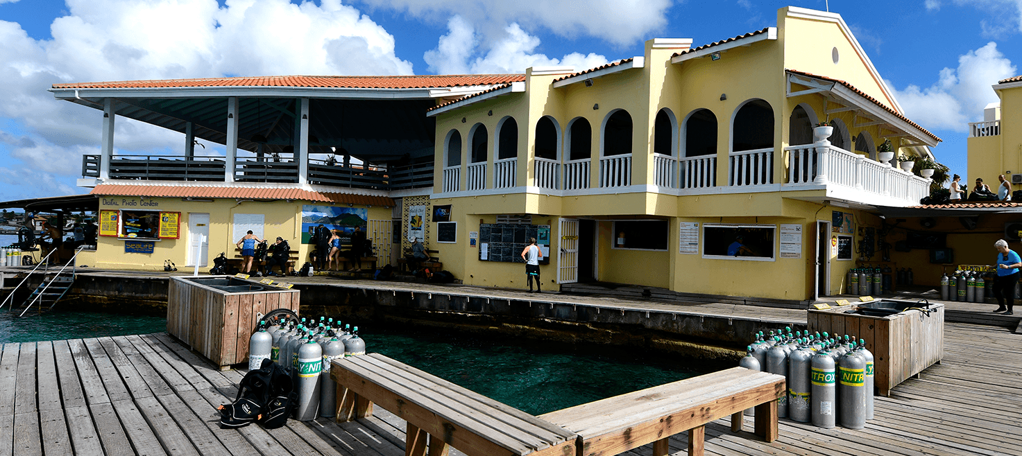 bonaire-dykkerrejse-grupperejse-blog-5.png
