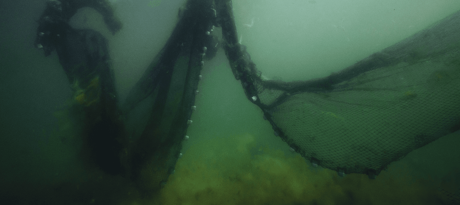 ghostnet-speciale-spørgelsesnet.png