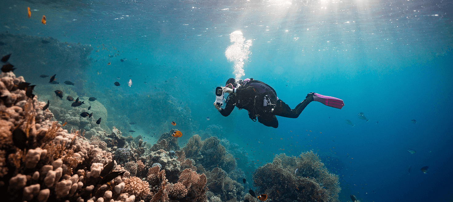 guide-opsætning-oceanic-dive-housing-3.png
