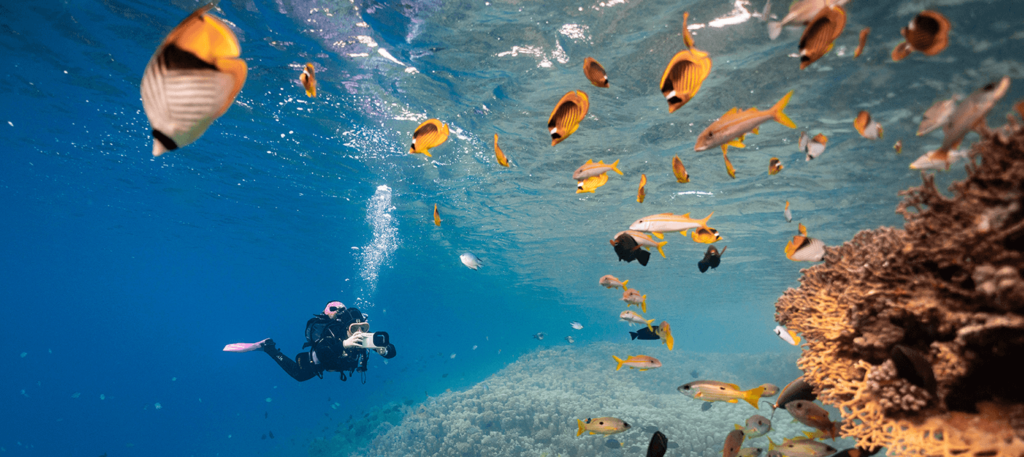 guide-opsætning-oceanic-dive-housing-4.png