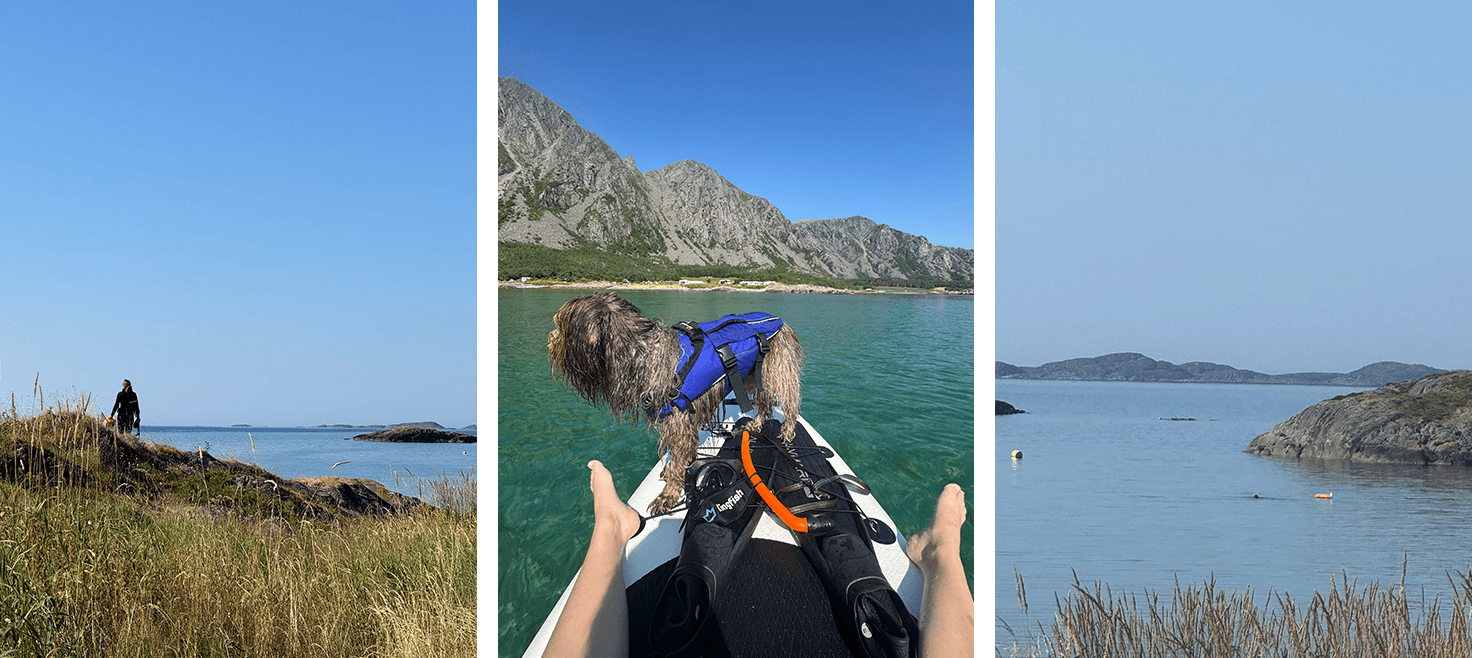 norge-blog-paddleboarding-sup-hund-undervandsjagt-snorkling.png
