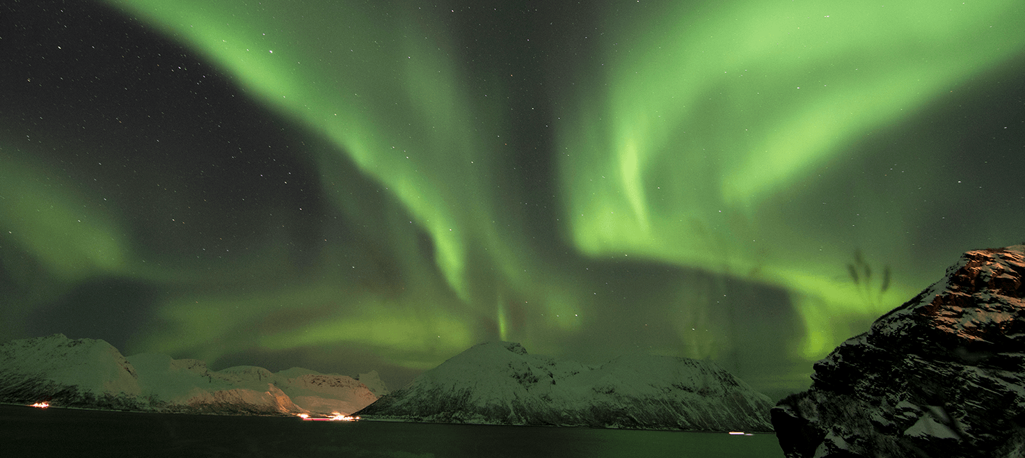 norge-spækhuggere-orca-nordlys.png