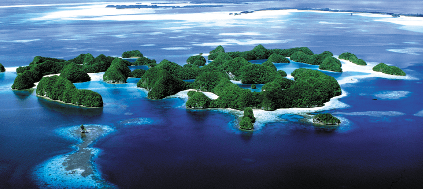 palau-dykkerrejser-trope-øer-dykkerdestination-3.png