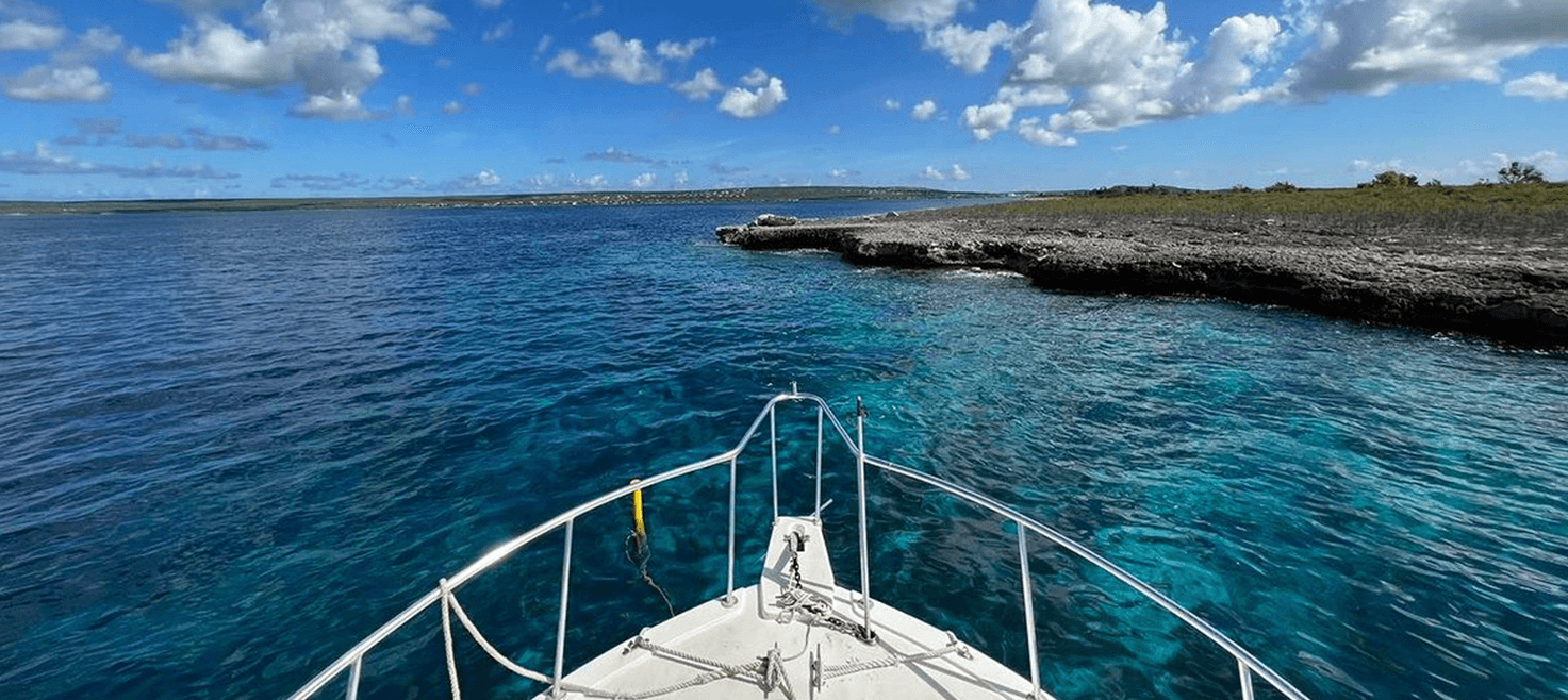 sara-paa-bonaire-bedste-dykning-paa-bonaire-carls-hill.png