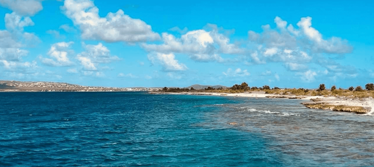 sara-paa-bonaire-bedste-dykning-paa-bonaire-ebo.png