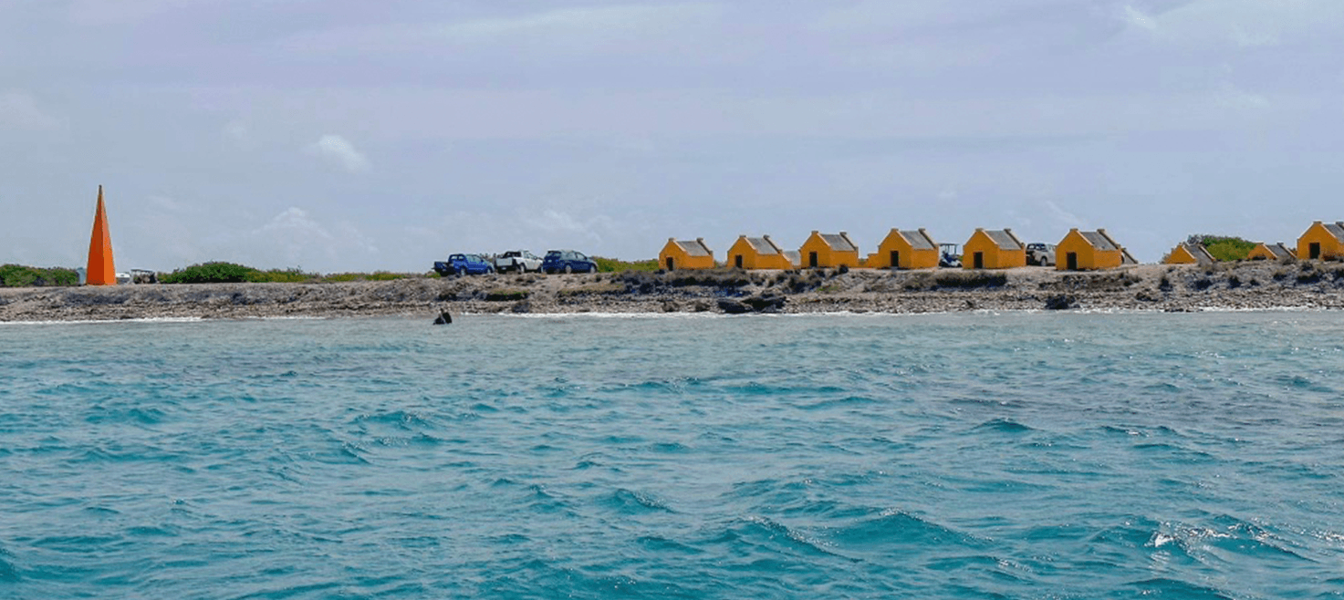 sara-paa-bonaire-bedste-dykning-paa-bonaire-redslave.png