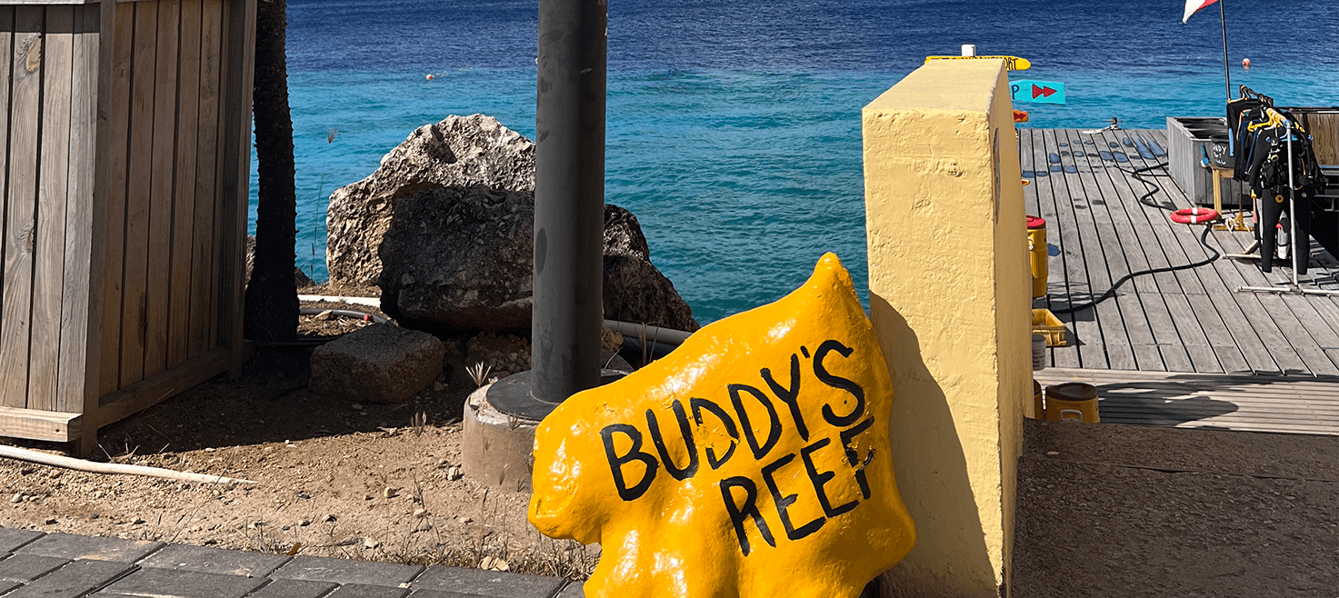 sara-paa-bonaire-kystdykning-2.png