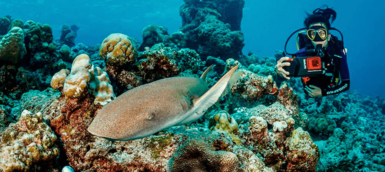 sealife-sportdiver-ultra-dive-housing-02.png
