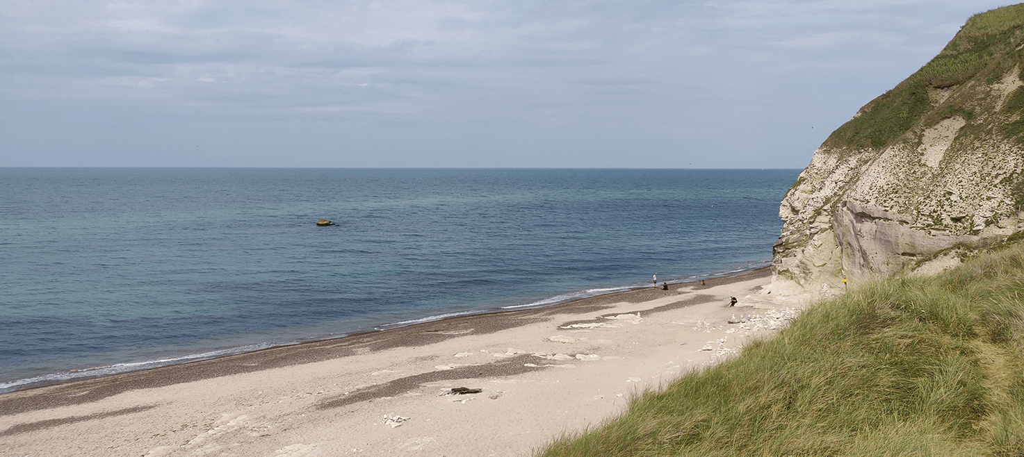 snorkling-i-danmark-bulbjerg.png