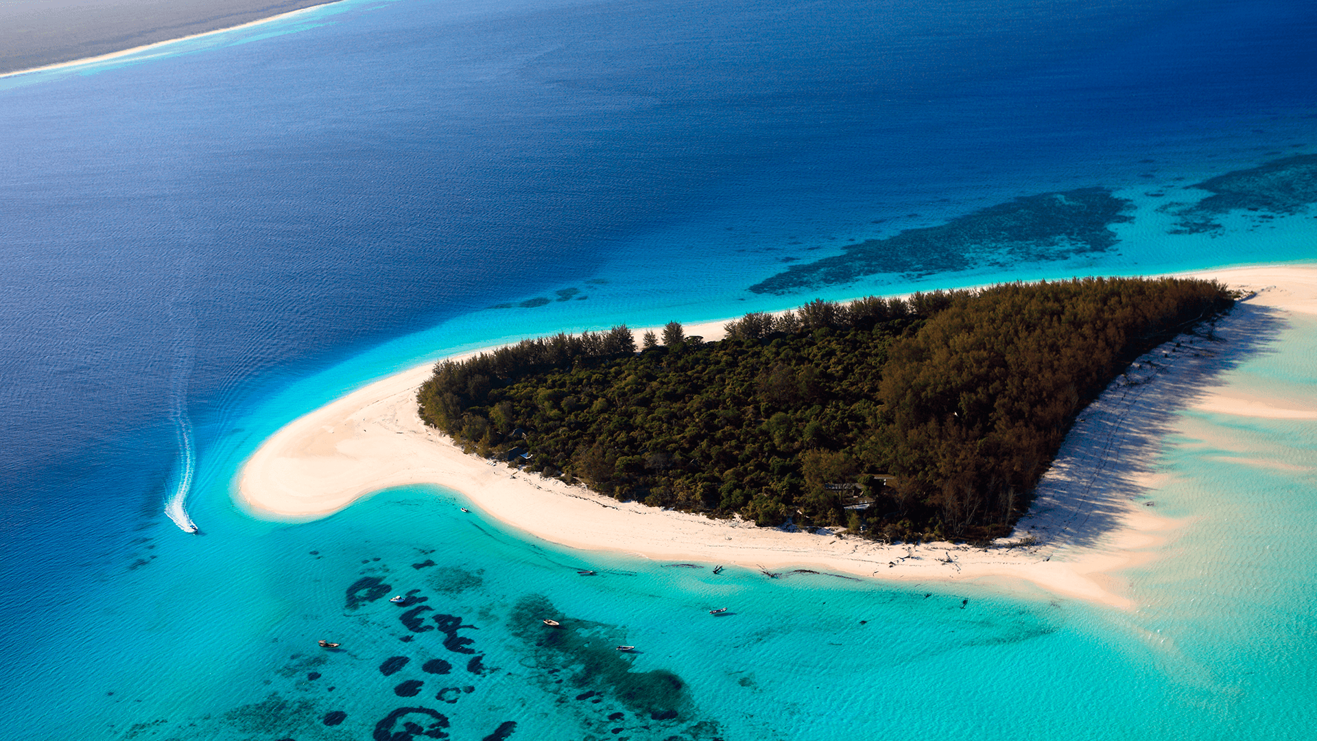 tanazania-zanzibar-dykkerrejse-2.png